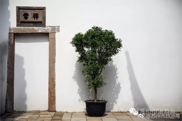 k8经典成人理伦片