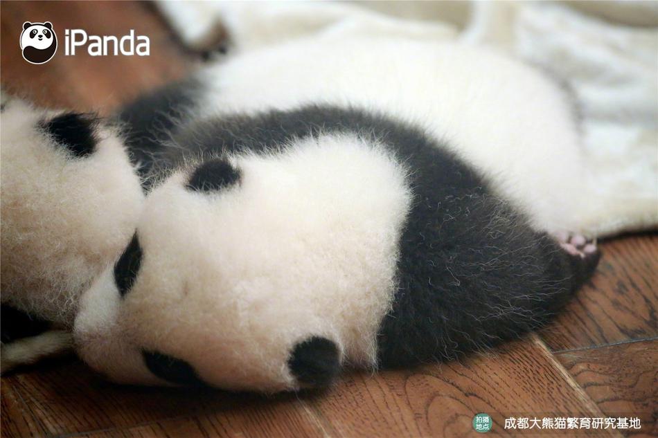 免费A漫禁漫天堂