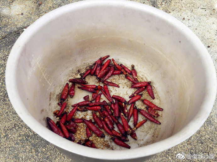 欧美极品性饥渴少妇大战黑人