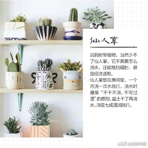 Free性满足Hd国产精品