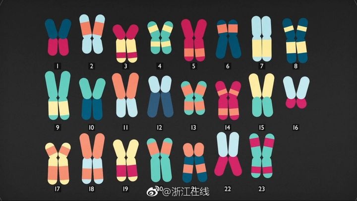 张柏芝自慰全部无打码