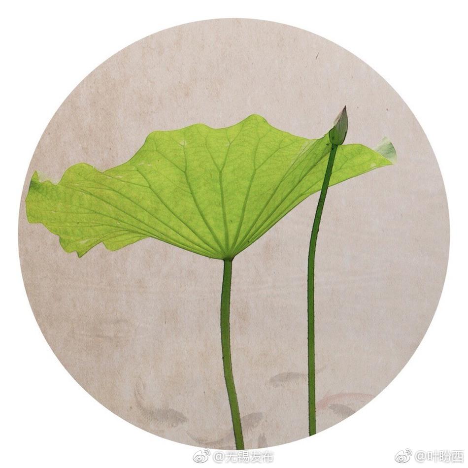 成人 視頻 動漫