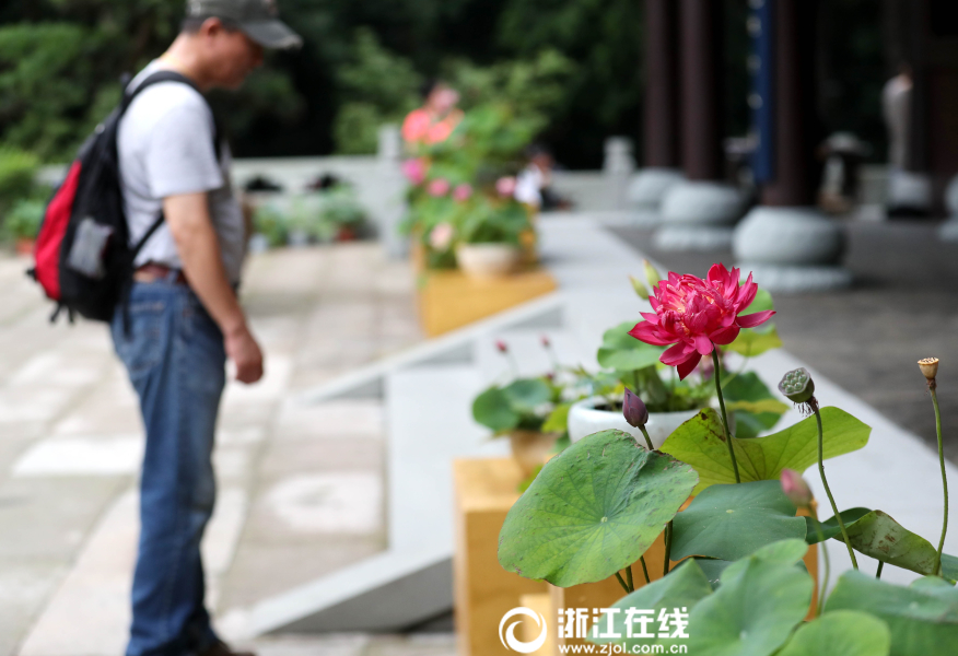 筱田优在办公室无删减