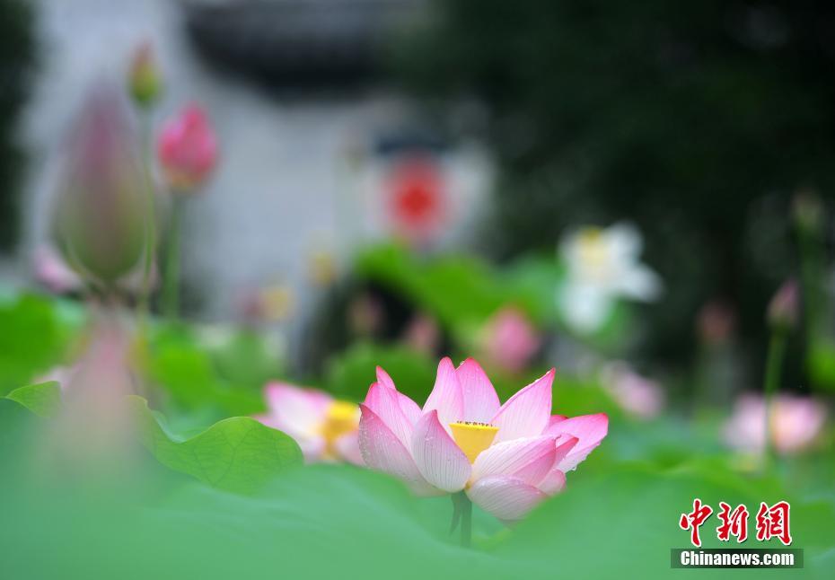 好大 好紧 好硬 好硬