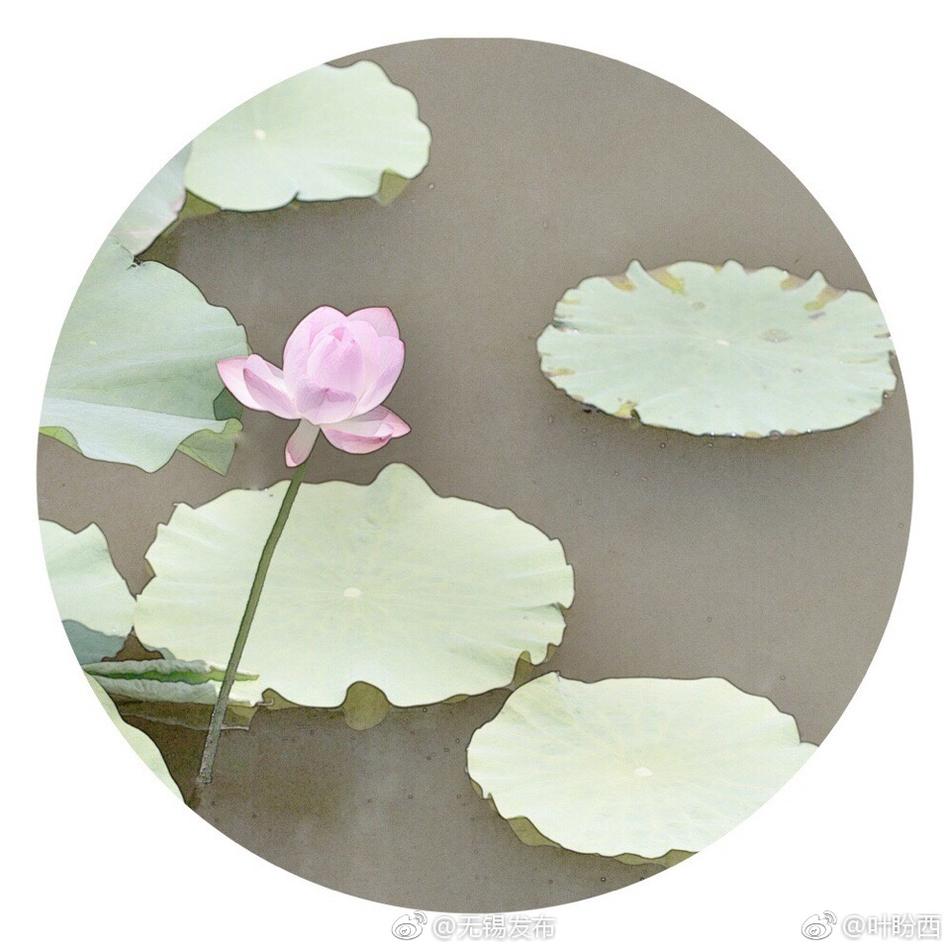 黄色伦理片