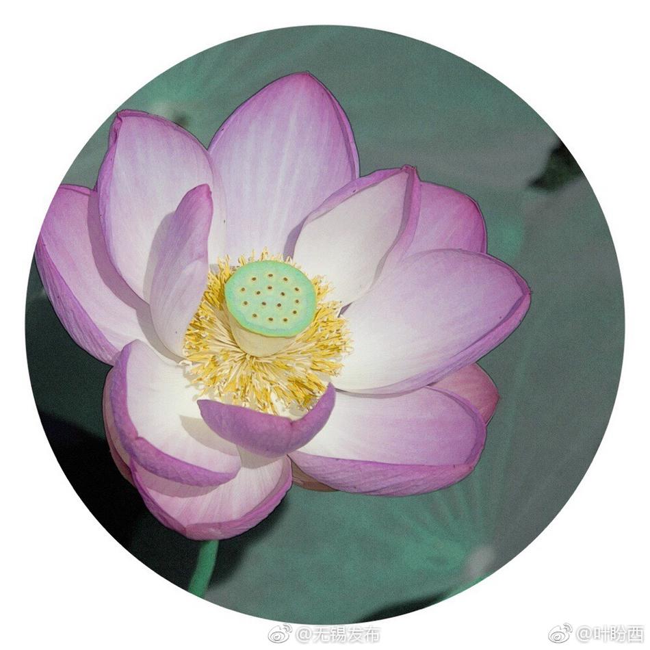 农村毛片