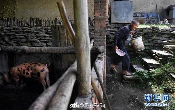 无遮挡裸光屁屁打屁股男男