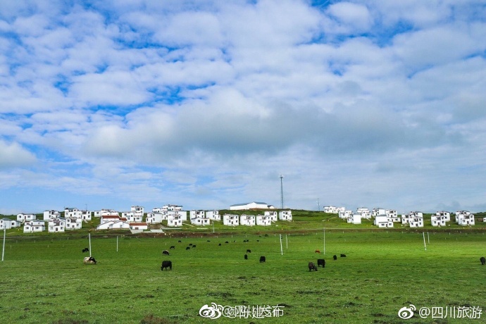 黄视频无吗免费看