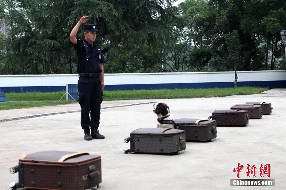 免费 观看 性爱 视频