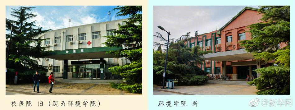 陷阱电影