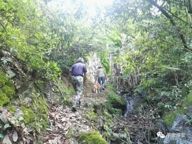 一级黄片免費波多野结衣