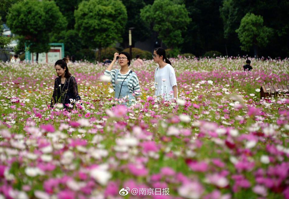 又硬又粗进去好爽A片看