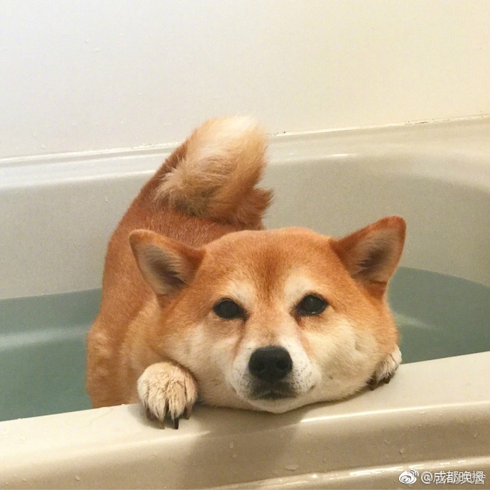 张筱雨扒开大腿无遮挡