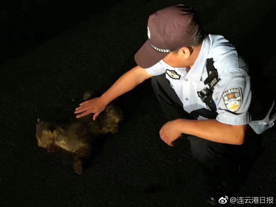 猛男勃起1069