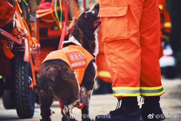 白丝美女被啪到深夜娇喘不过气来