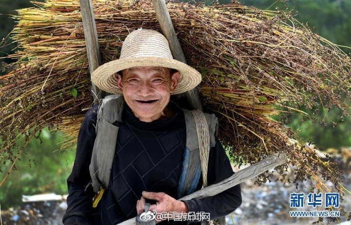 心江美女三级片