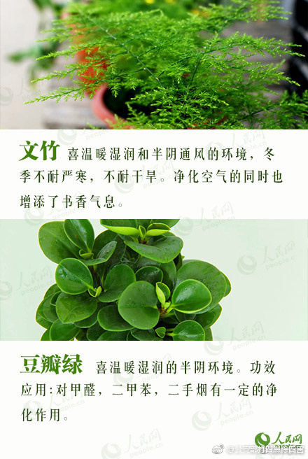 肥婆BBB搡BBBB搡搡搡