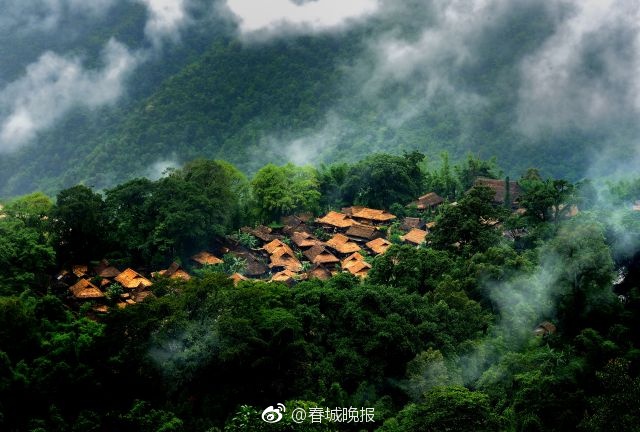 刘苏苏