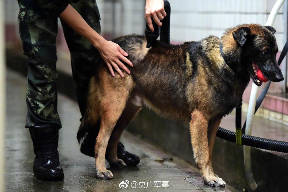 国产在线不卡