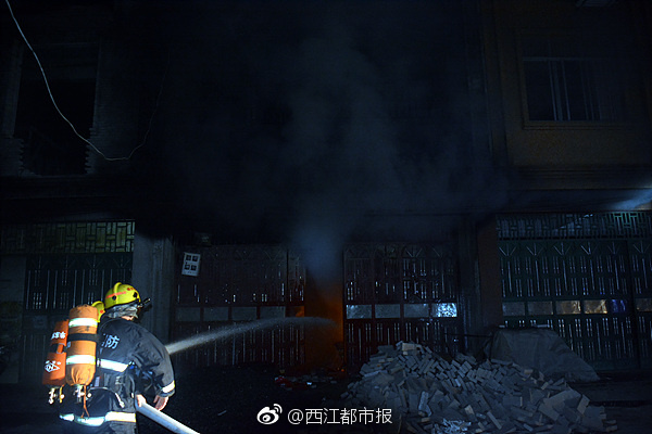 免费无遮挡 游戏
