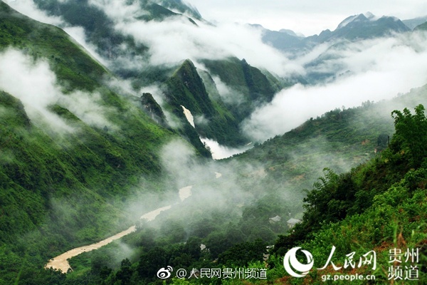 黄色网站平台