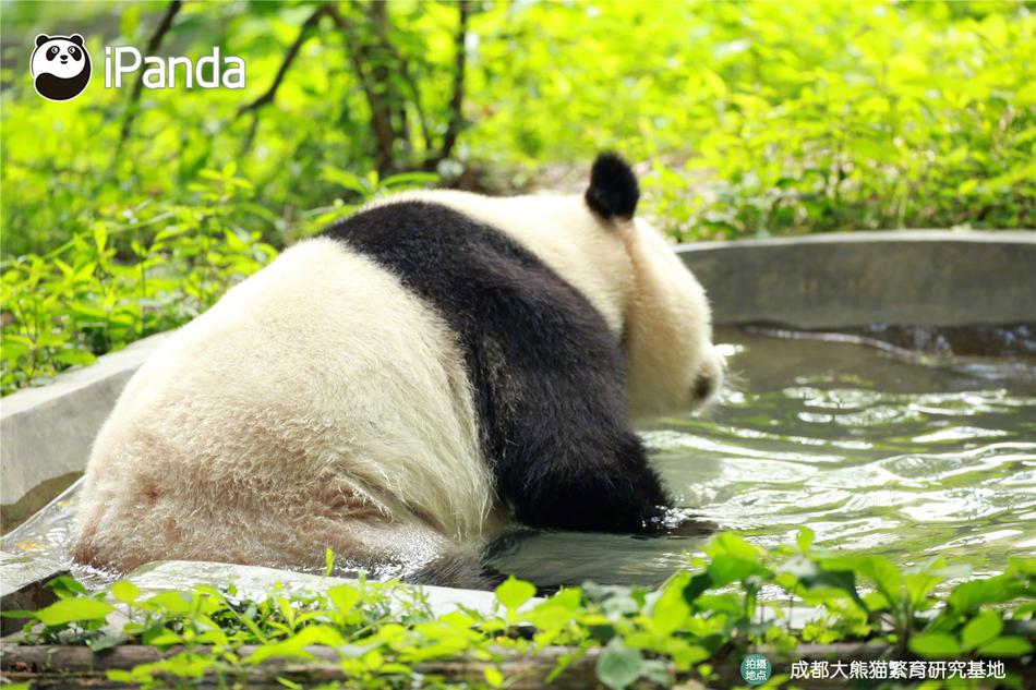好叼妞
