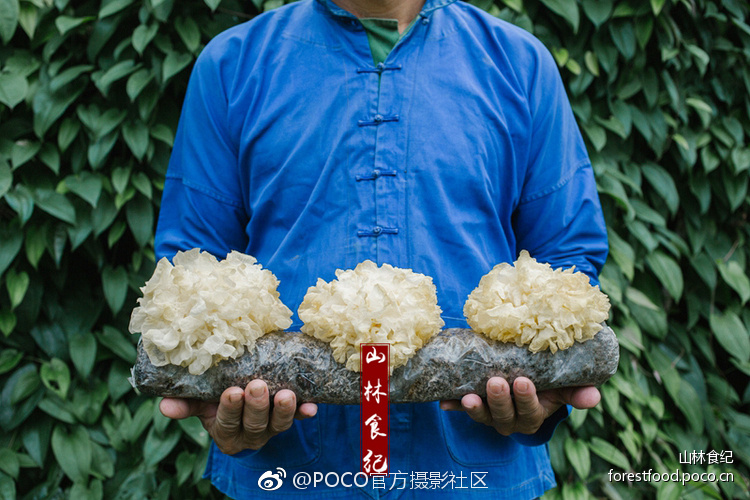 西瓜视频A级艳片在线播放