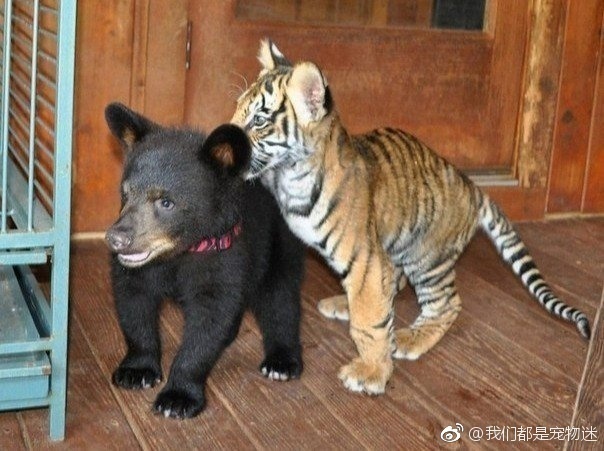 东热激情