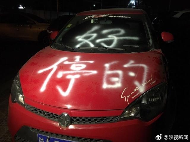 老女人日逼的视频
