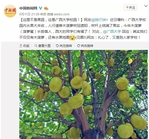 夫妻两个人黄色影片国语