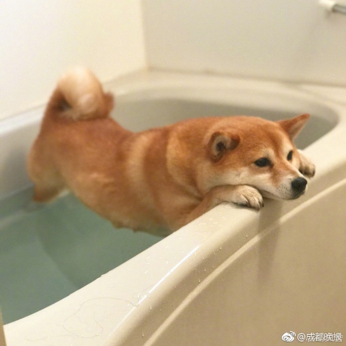 特级黄片十大美女播放影片