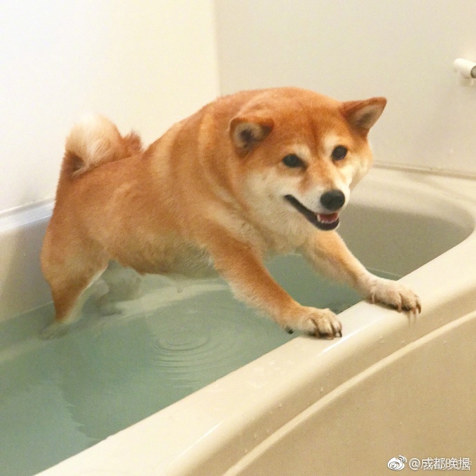 夫妻性生活大片