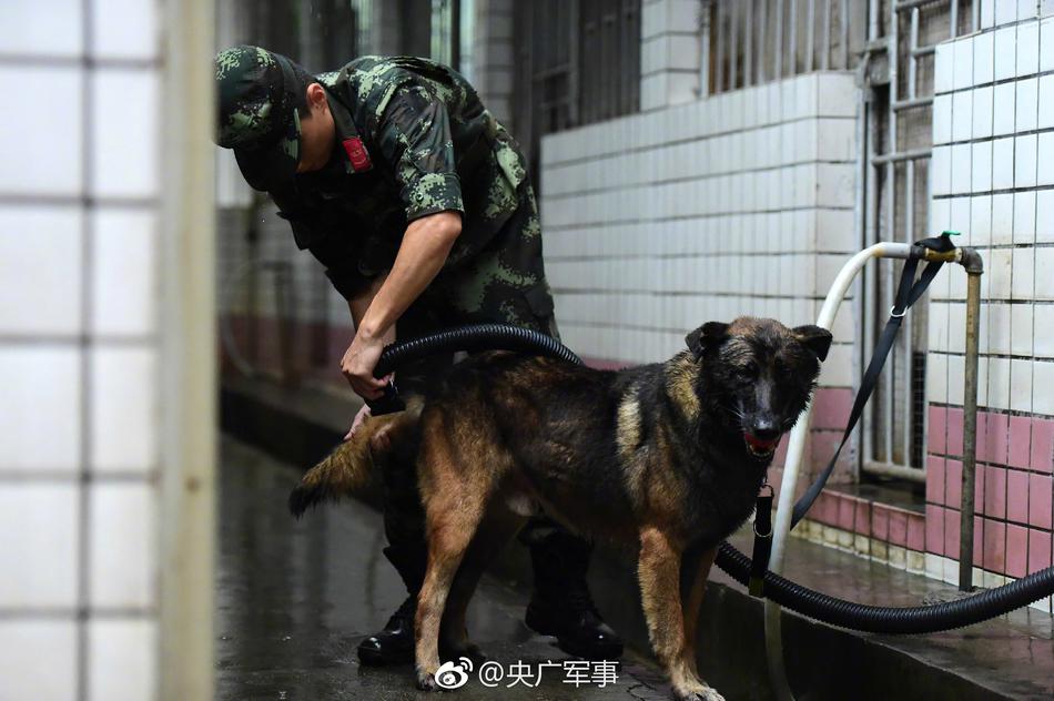 猛男GayGay 小蓝视频宏翔