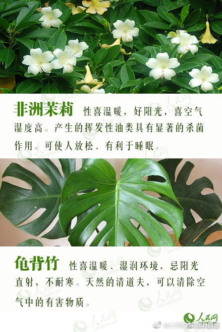 全是肉的高H文〈男男〉