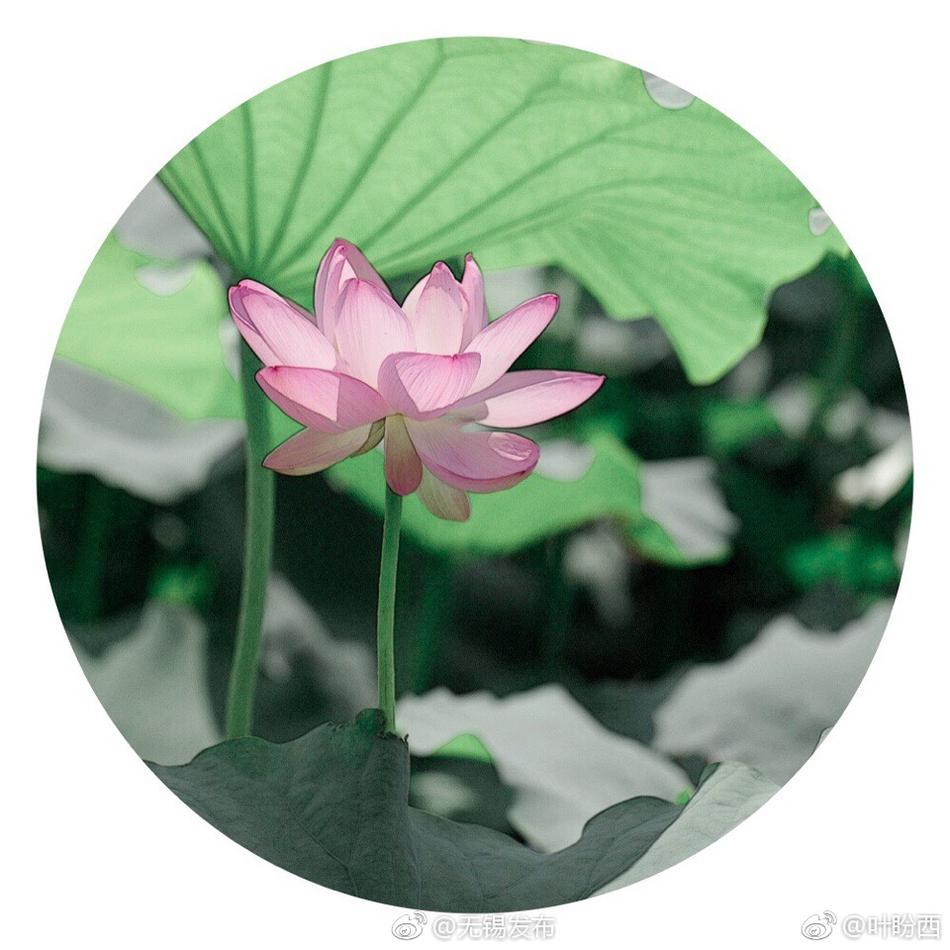 成濑心美