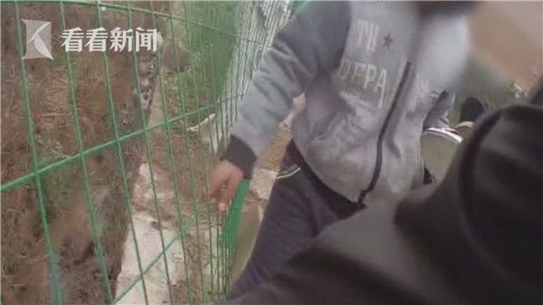 农村少妇毛片精品兔费特黄