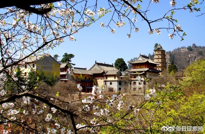 综合久
