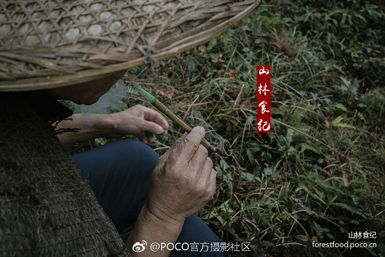 日本黄色三级
