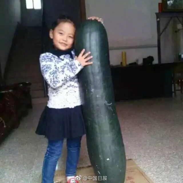 草莓视频app 18在线视频