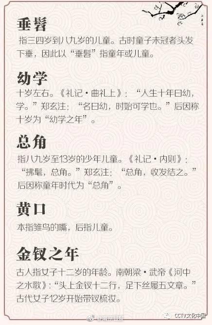 日本乱强伦乄