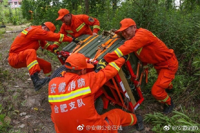 成人 Av 免费 看