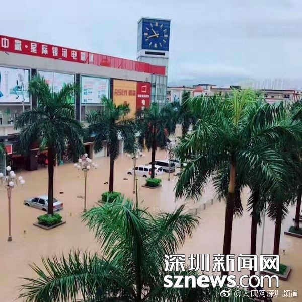 国内熟女偷拍福利视频