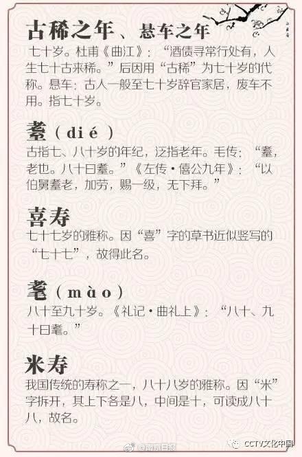 动漫  爆乳  动漫技女水纲手