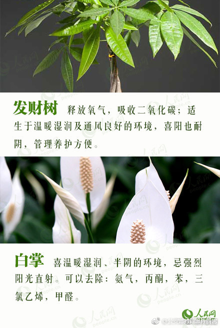 免费的操逼的