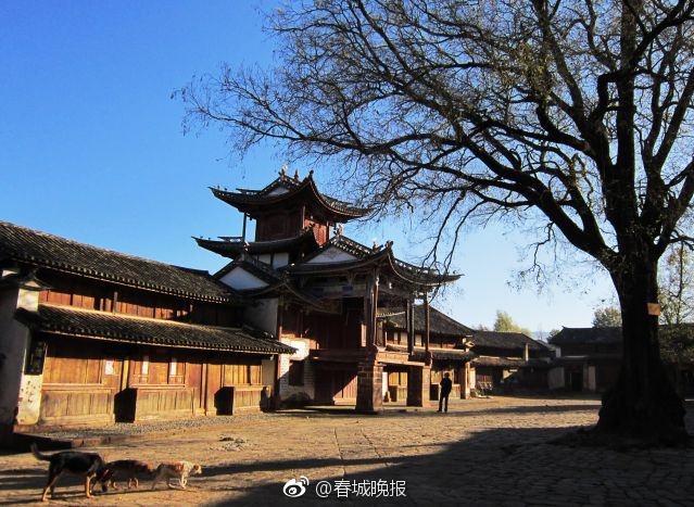 国内一级片
