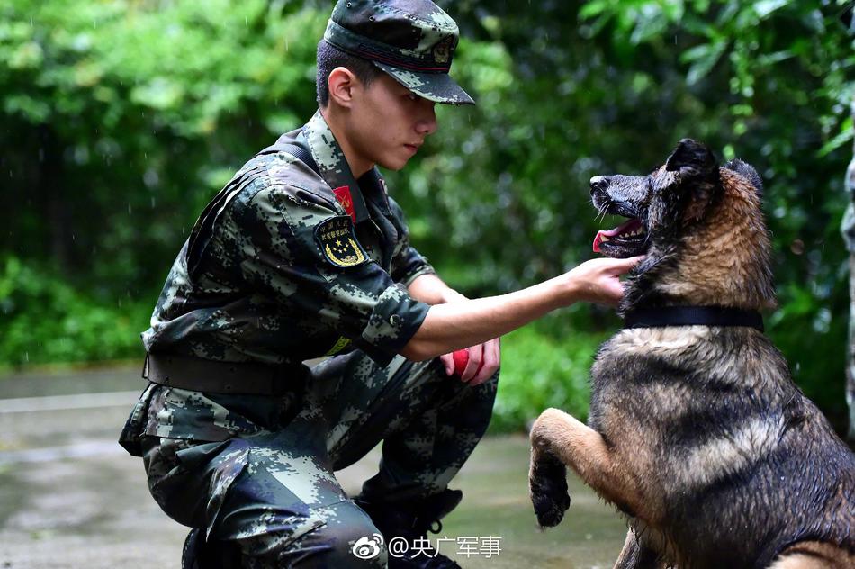 香港三级片少妇干柴遇烈火
