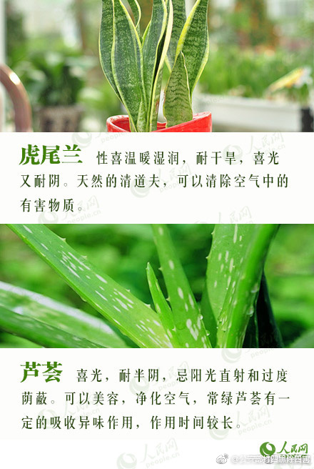 中国激情熟妇