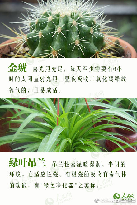 性爱视频一区二区无码