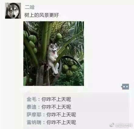 欧美黄色一级
