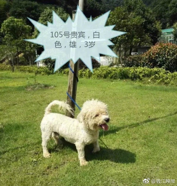 国产乱伦激情视频